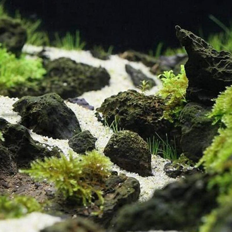 Natural Aquarium Decor Lava Stone for Plants Growth Filter - Omamoristone お守り石